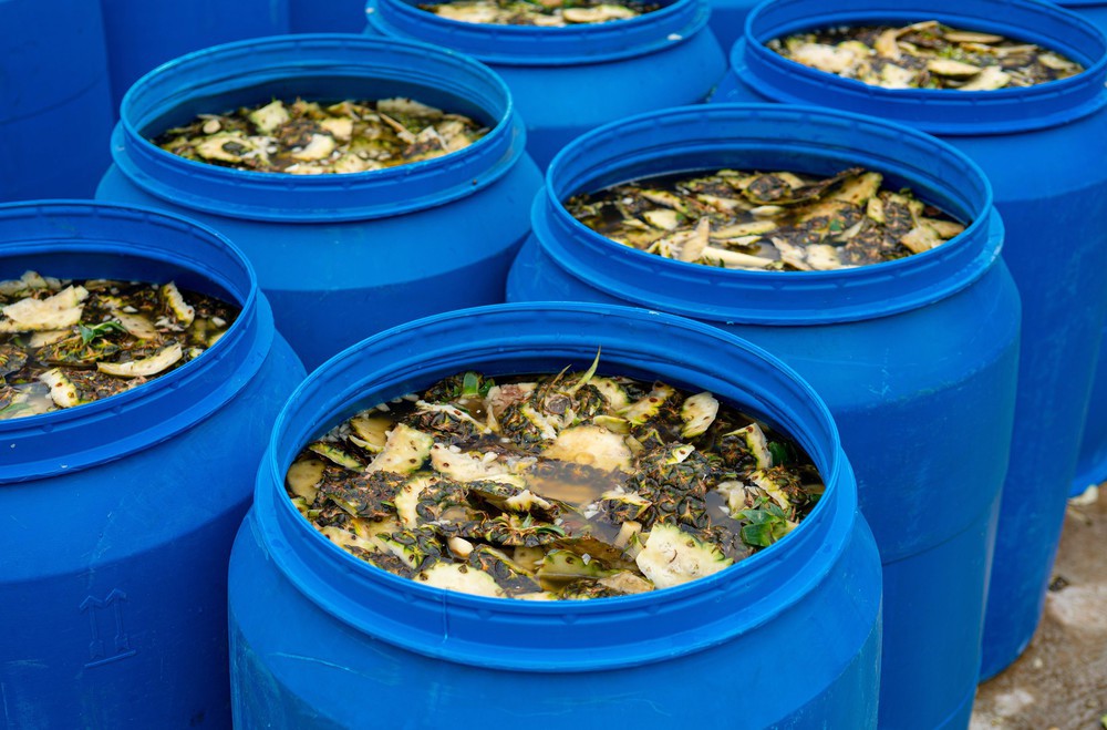 Fuwa3e (Enzyme Cleaner)- Ảnh 7. Fuwa3e (Enzyme Cleaner)- Ảnh 7.