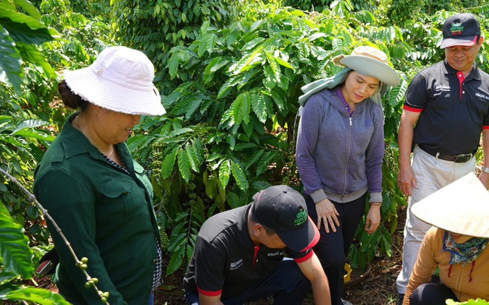 Việt Nam có mô hình độc đáo giúp đất hồi sinh, nông dân thu tiền tỷ từ giống cây "tốt nhất thế giới"- Ảnh 1. Việt Nam có mô hình độc đáo giúp đất hồi sinh, nông dân thu tiền tỷ từ giống cây "tốt nhất thế giới"- Ảnh 1.