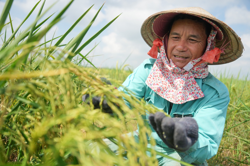 Chương trình hành động Vinamilk Pathways to Dairy Net Zero- Ảnh 6.