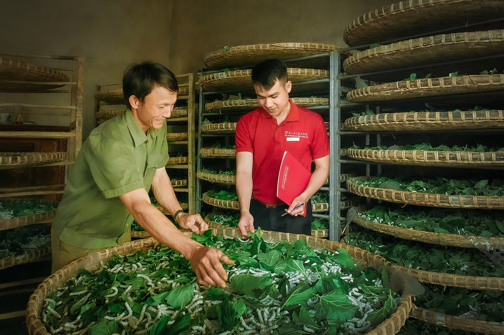 Agribank cho vay đối tượng chính sách để phát triển kinh tế, xã hội nông nghiệp, nông thôn- Ảnh 12.