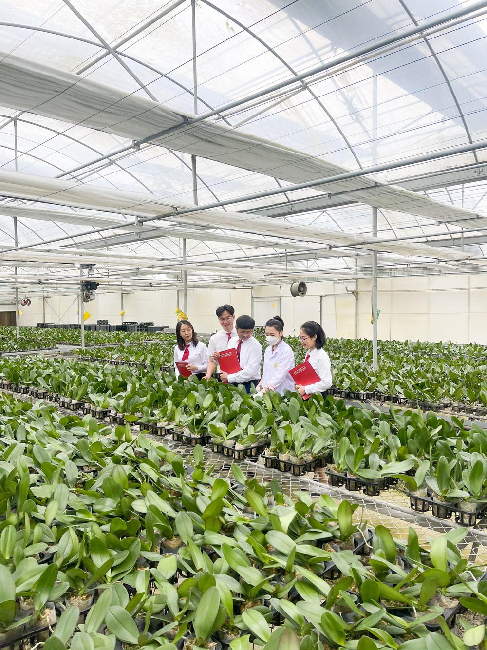 Agribank cho vay đối tượng chính sách để phát triển kinh tế, xã hội nông nghiệp, nông thôn- Ảnh 9.
