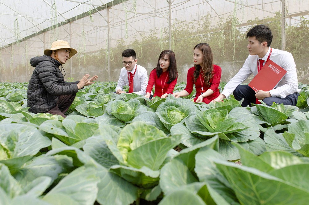 Agribank cho vay đối tượng chính sách để phát triển kinh tế, xã hội nông nghiệp, nông thôn- Ảnh 14.