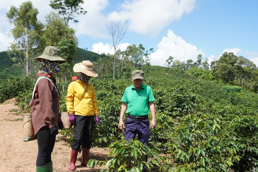 Trao quyền và Phát triển kỹ năng cho lao động nữ trồng cà phê và nhân viên cà phê về an toàn tại nơi làm việc- Ảnh 21.
