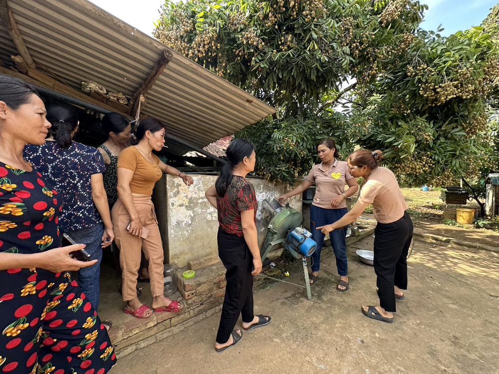 Trao quyền và Phát triển kỹ năng cho lao động nữ trồng cà phê và nhân viên cà phê về an toàn tại nơi làm việc- Ảnh 28.
