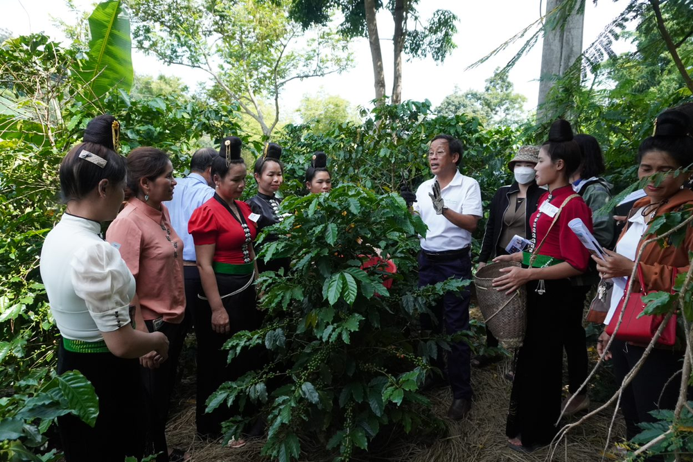 Trao quyền và Phát triển kỹ năng cho lao động nữ trồng cà phê và nhân viên cà phê về an toàn tại nơi làm việc- Ảnh 10.