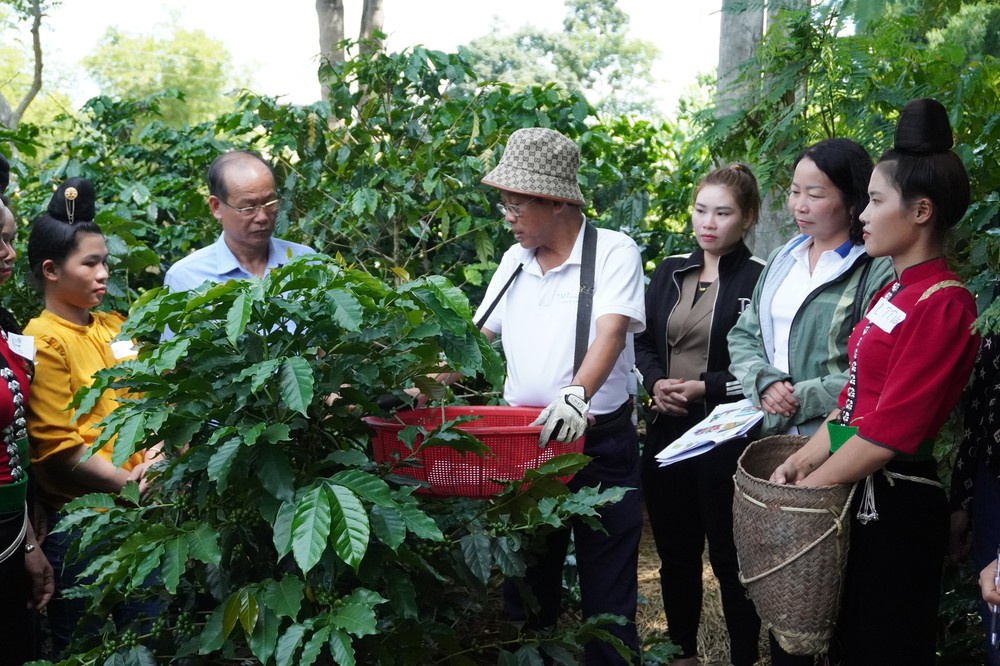 Trao quyền và Phát triển kỹ năng cho lao động nữ trồng cà phê và nhân viên cà phê về an toàn tại nơi làm việc- Ảnh 30.