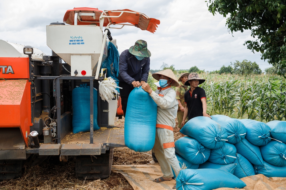 Vinasoy phát triển vùng nguyên liệu đậu nành bền vững trên cả nước- Ảnh 11. Vinasoy phát triển vùng nguyên liệu đậu nành bền vững trên cả nước- Ảnh 11.