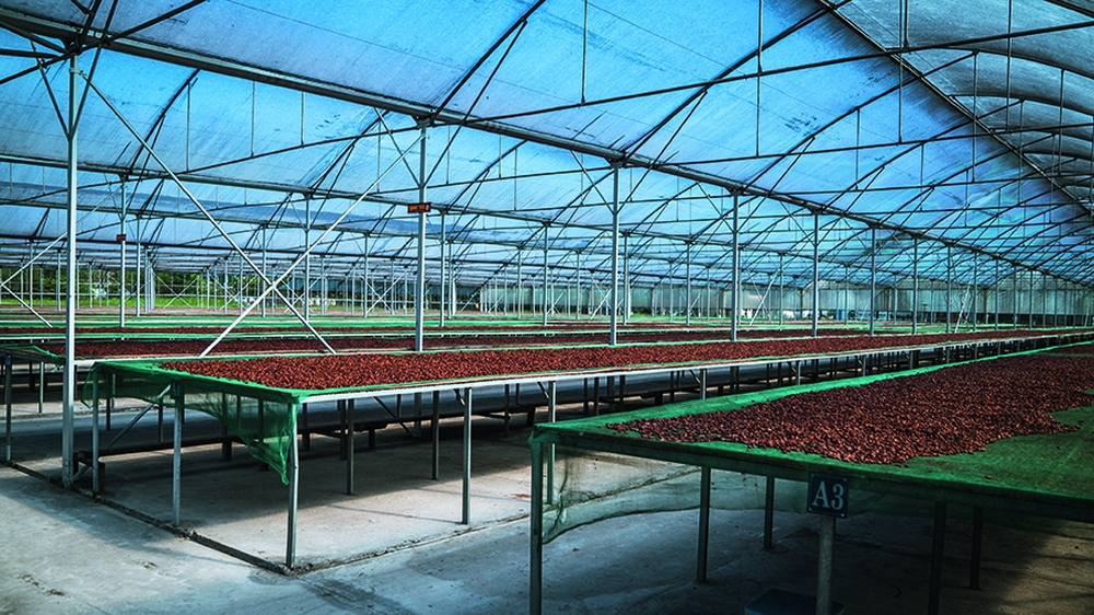 Cacao Trace by Puratos: Vị ngọt của những trái đắng- Ảnh 14. Cacao Trace by Puratos: Vị ngọt của những trái đắng- Ảnh 14.