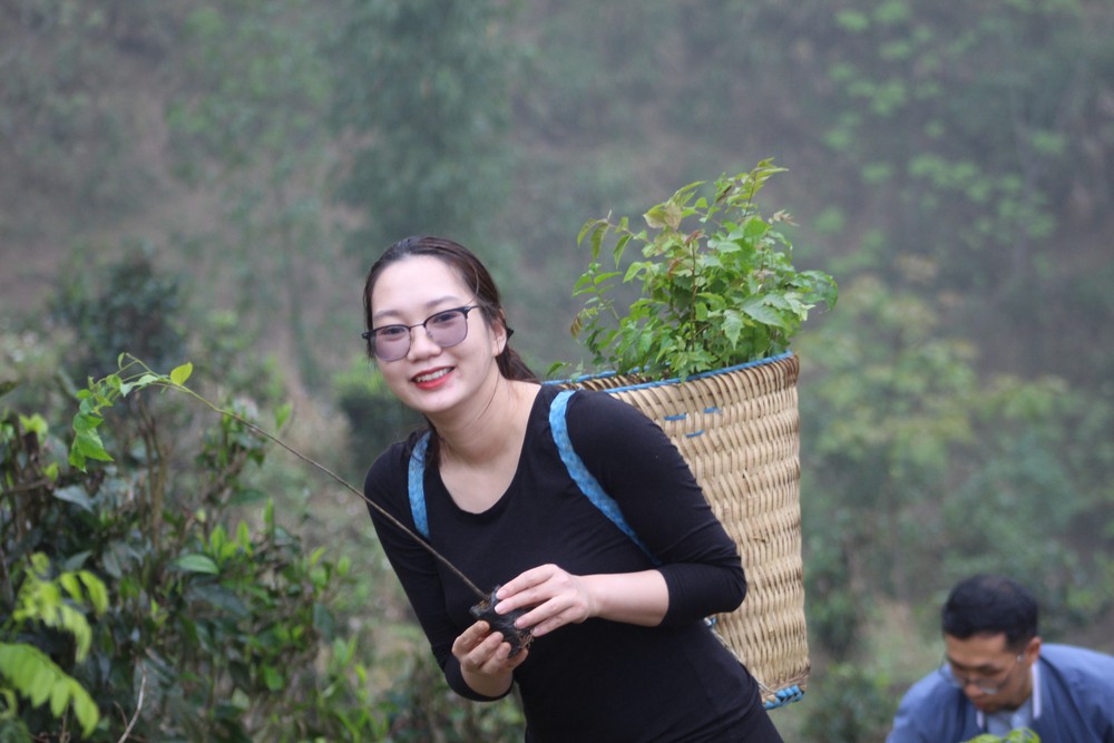 Ước mơ triệu cây xanh - Green Dream- Ảnh 7. Ước mơ triệu cây xanh - Green Dream- Ảnh 7.