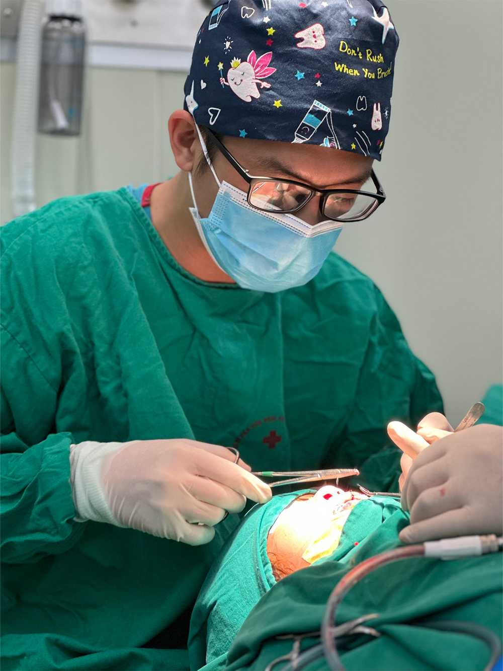 HEO ĐẤT MOMO- Ảnh 4. HEO ĐẤT MOMO- Ảnh 4.