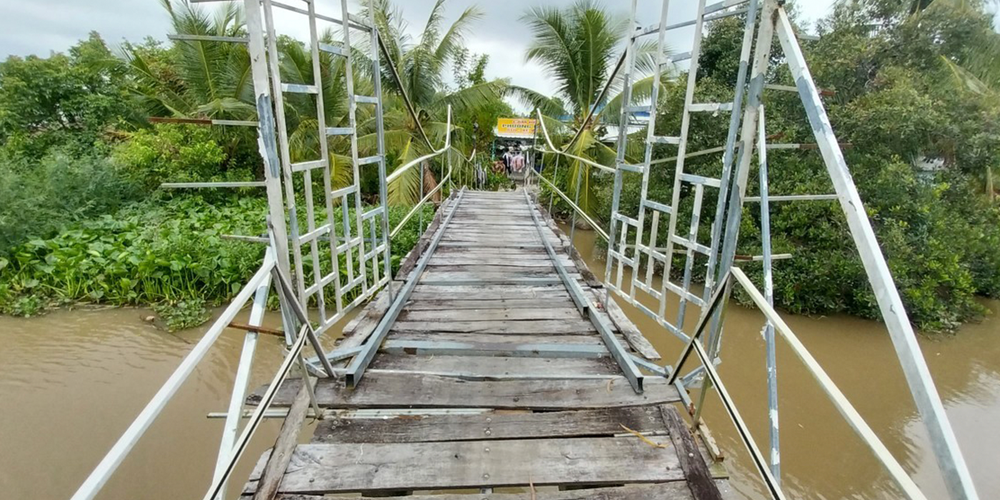 HEO ĐẤT MOMO- Ảnh 5. HEO ĐẤT MOMO- Ảnh 5.