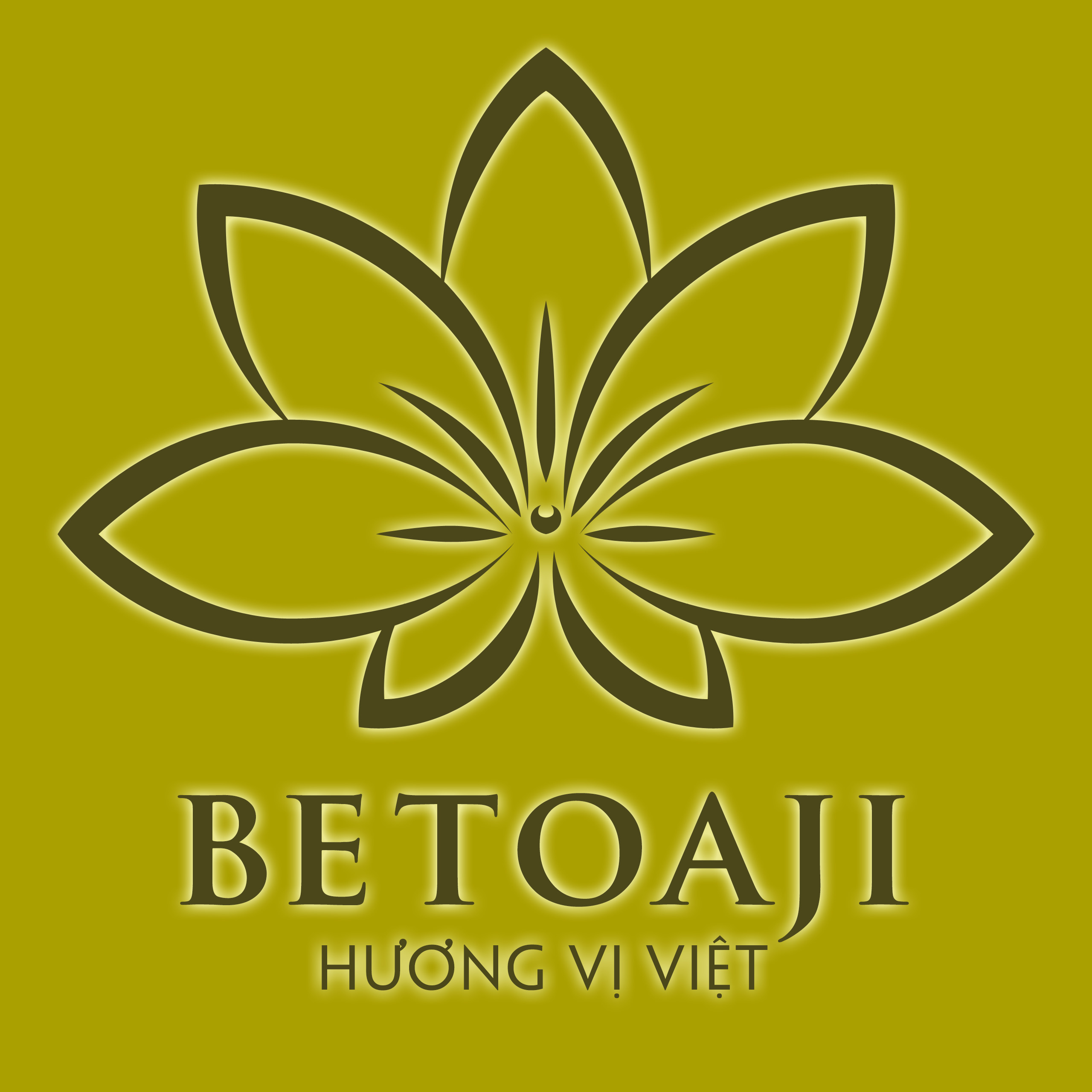 Betoaji: Cầu nối văn hoá Việt với thế giới, vun đắp tương lai cho trẻ em Việt Nam- Ảnh 3.