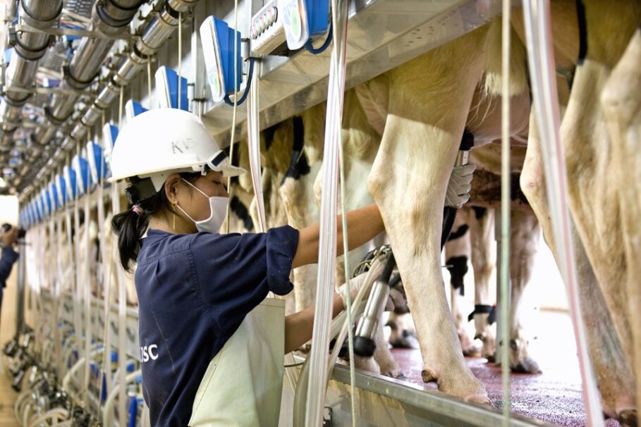 Dự án thay đổi bản chất ngành sữa Việt Nam trên nền tảng phát triển bền vững, vì sức khỏe cộng đồng- Ảnh 13.
