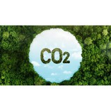 Thị trường tín chỉ carbon rừng: Bí mật phía sau những khoản lợi nhuận khổng lồ