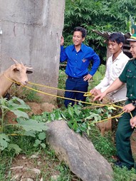 Mô hình DÊ GIỐNG KHỞI NGHIỆP - trao sinh kế khởi nghiệp