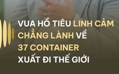 VUA HỒ TIÊU VIỆT LINH CẢM CHẲNG LÀNH VỀ 37 CONTAINER XUẤT ĐI THẾ GIỚI