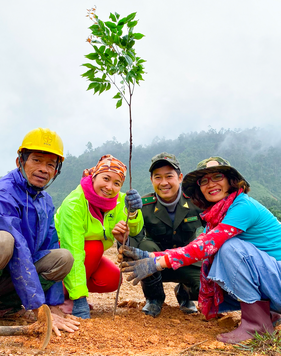 Góp 1 cây là góp rừng