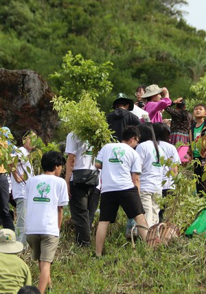 Dự án trồng rừng PanNature