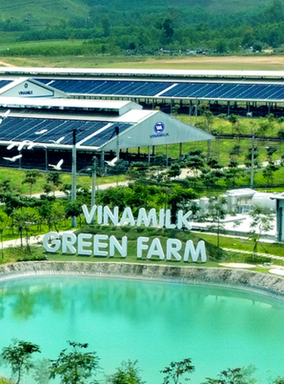 Vinamilk Pathways to Dairy Net Zero